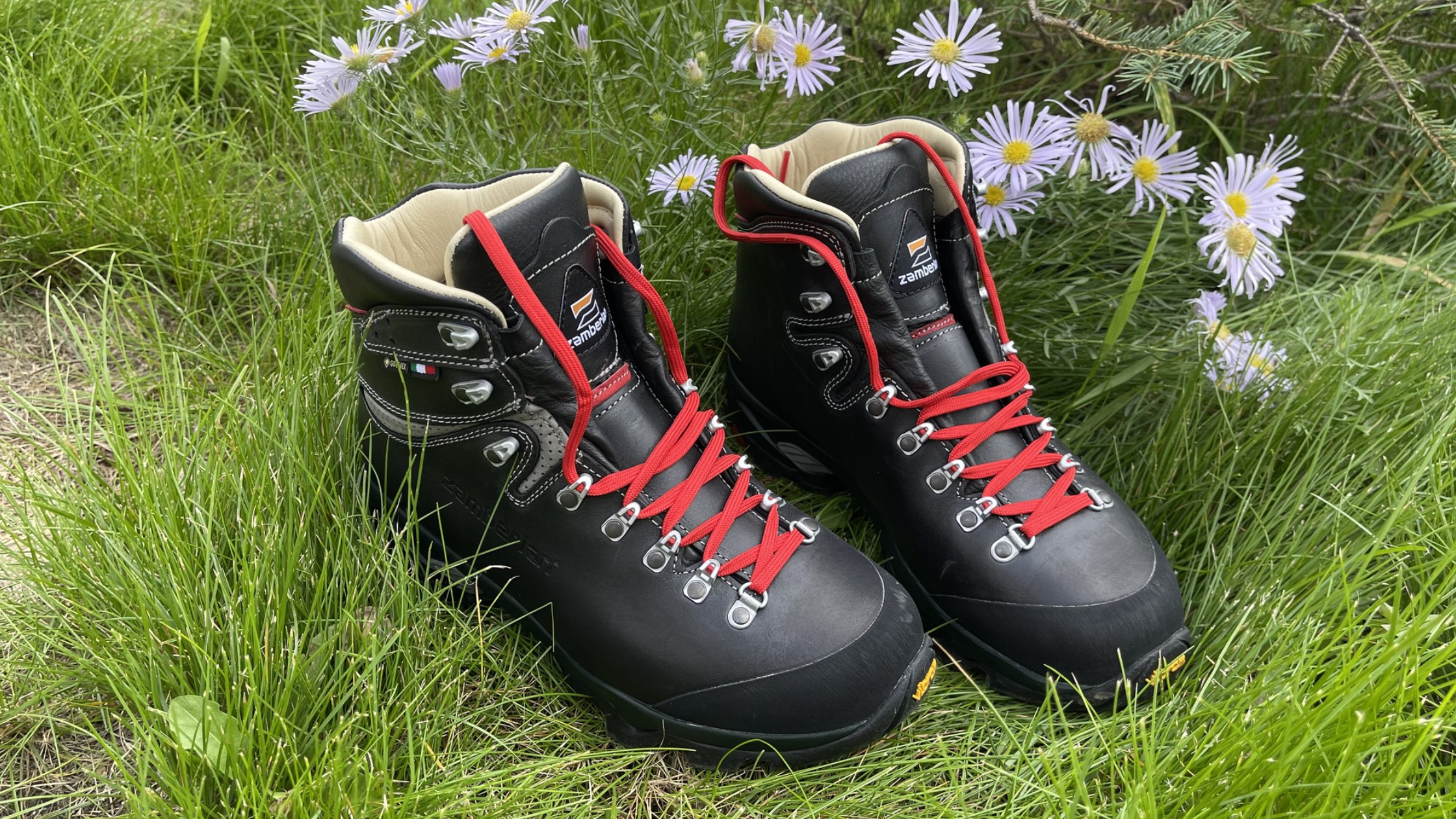 Product Review: Zamberlan 1996 Vioz Lux GTX – Bear Rock