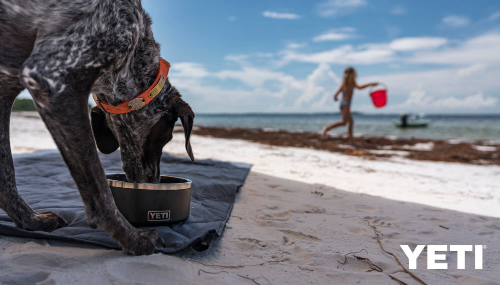 Yeti Boomer 8 Dog Bowl | Navy