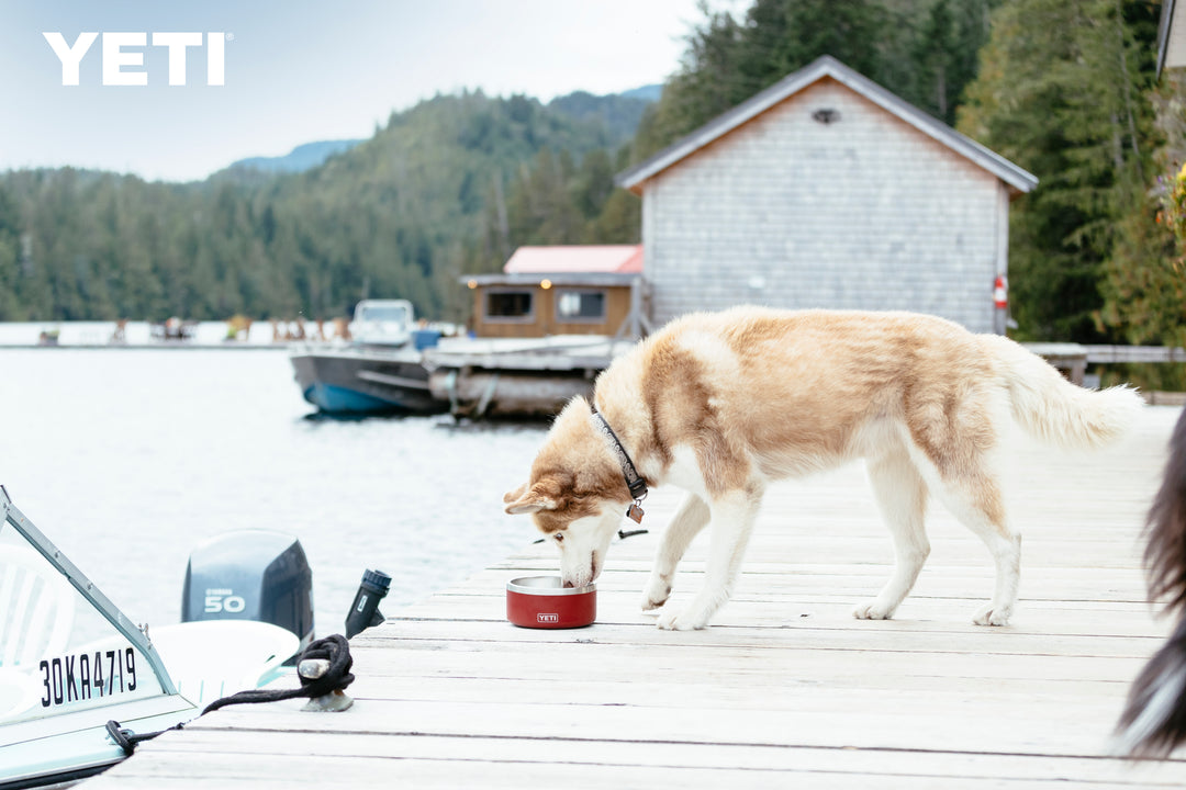 Yeti Boomer Dog Bowl 4 Wild Vine Red