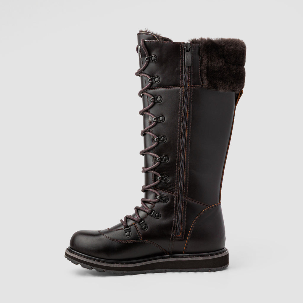 Royal Canadian Dalhousie in Chocolate Brown (CBLR)