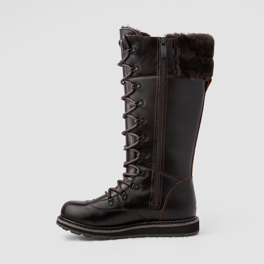 Royal Canadian Dalhousie in Chocolate Brown (CBLR)