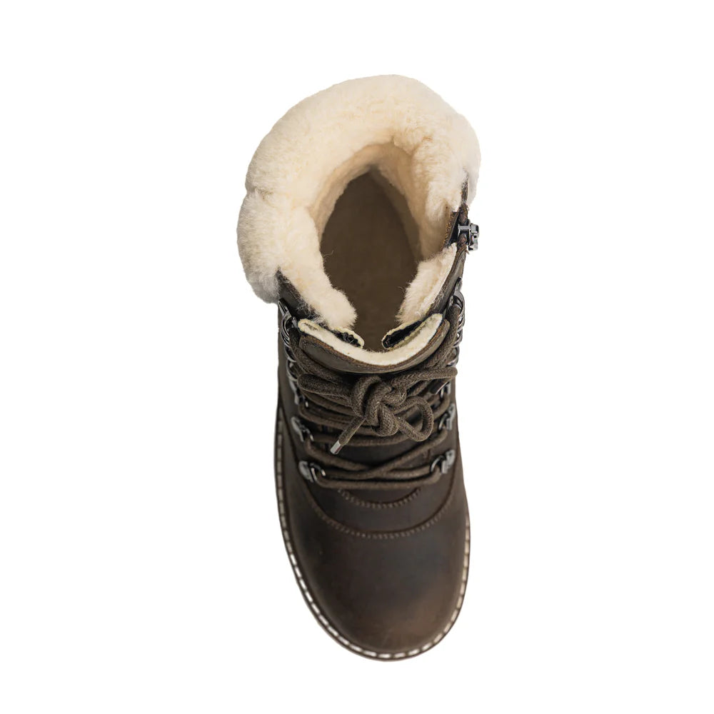 Royal Canadian Cambridge | Olive