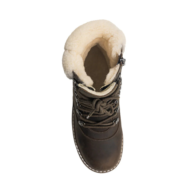 Royal Canadian Cambridge | Olive