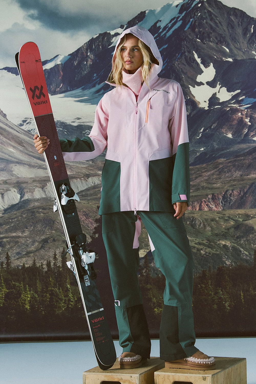 Person in ski gear holding a ski with a mountainous background