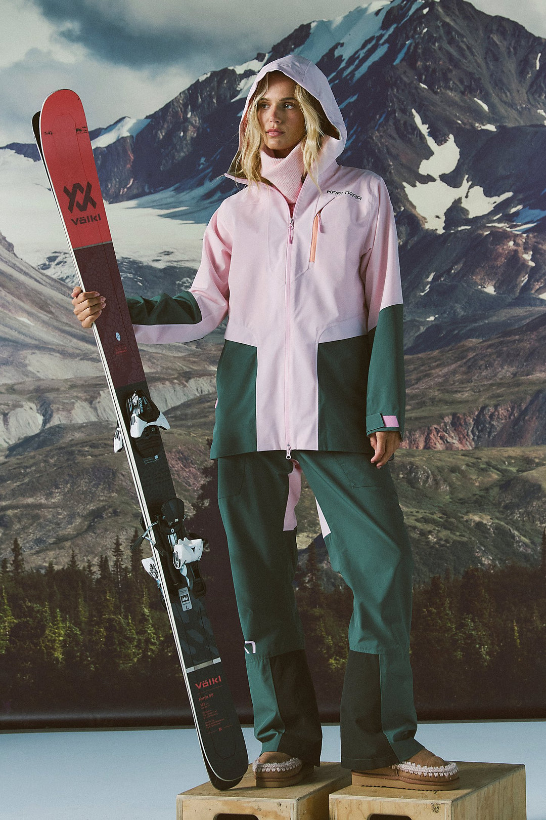 Person in ski gear holding a ski with a mountainous background