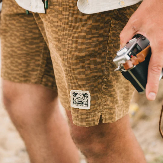 Howler Brothers Pressure Drop Cord Shorts | Canyon Distortion : Earth
