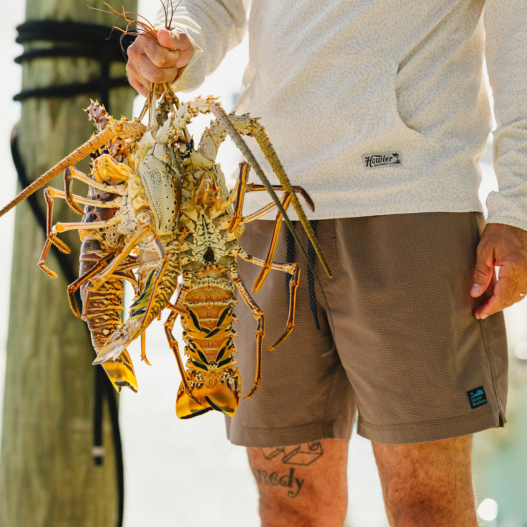 Person holding a large lobster with a blurred background