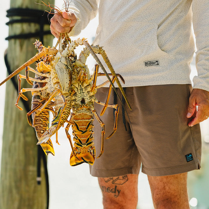Person holding a large lobster with a blurred background