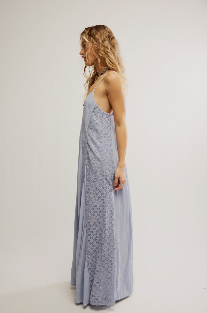 Free People Trail Of Flowers Maxi Dress | Dried Hydrangea