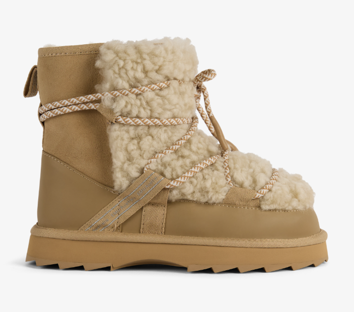 Blurred Teddy | Sand