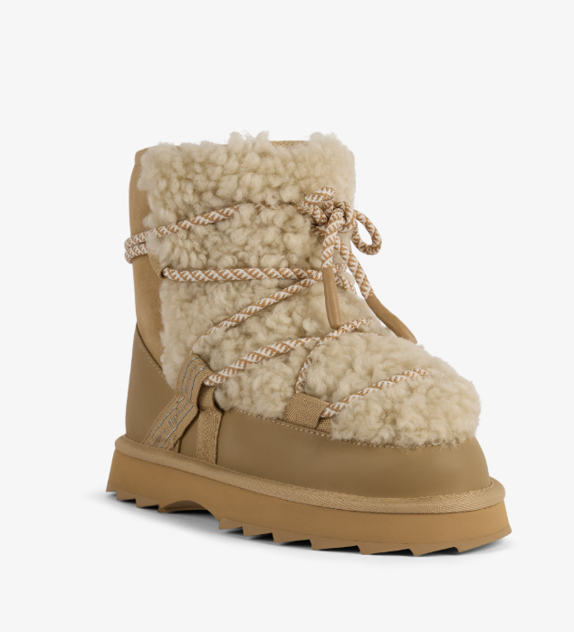 Blurred Teddy | Sand