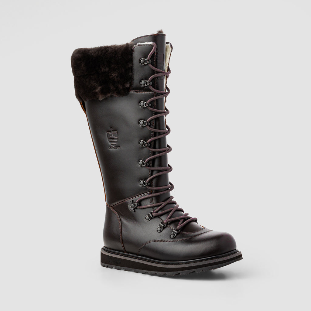 Royal Canadian Dalhousie in Chocolate Brown (CBLR)