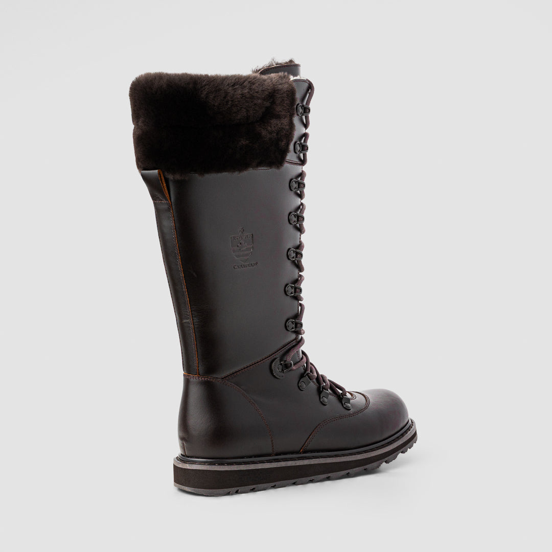 Royal Canadian Dalhousie in Chocolate Brown (CBLR)